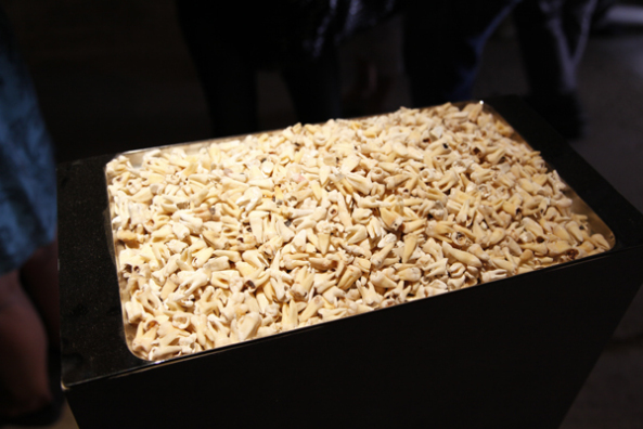 Der honduranische Knstler Adan Vallecillo zeigt einen Berg von Zhnen.