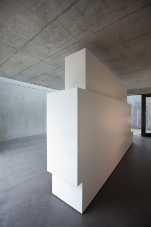 Einfamilienh�user in der Schweiz