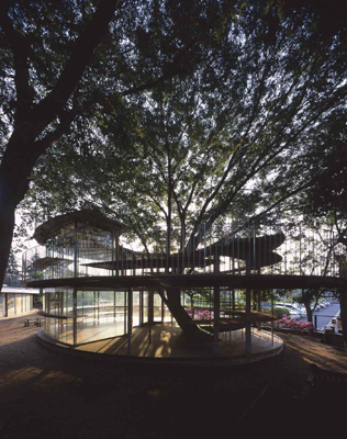 Ring Around a Tree, Tezuka Architects, Tokio, Fuji Kindergarten, Tachikawa