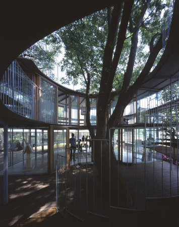 Ring Around a Tree, Tezuka Architects, Tokio, Fuji Kindergarten, Tachikawa