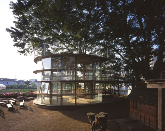 Ring Around a Tree, Tezuka Architects, Tokio, Fuji Kindergarten, Tachikawa