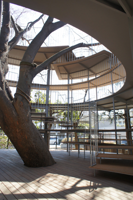 Ring Around a Tree, Tezuka Architects, Tokio, Fuji Kindergarten, Tachikawa