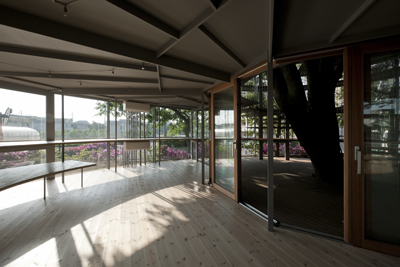 Ring Around a Tree, Tezuka Architects, Tokio, Fuji Kindergarten, Tachikawa