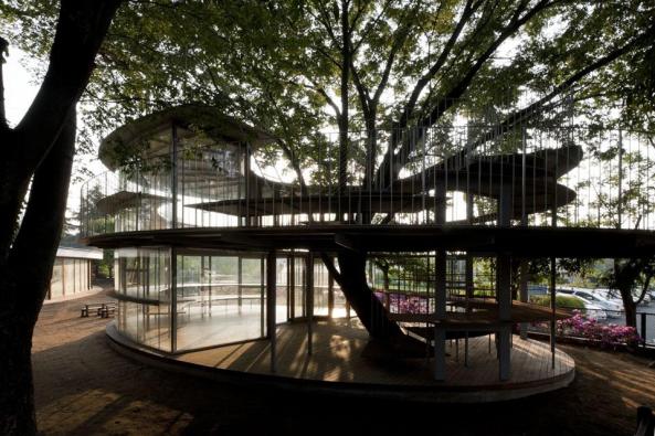 Ring Around a Tree, Tezuka Architects, Tokio, Fuji Kindergarten, Tachikawa