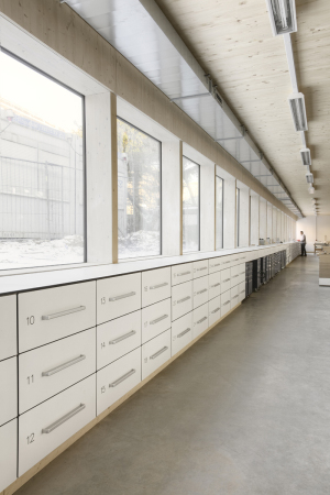 Ziegert Roswag Seiler, Holzbau, Lehm, Artec, Berlin