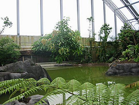 Neubau eines Regenwaldhauses im Zoo Zrich