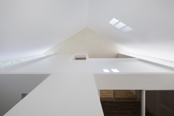 ISM House, japan, international Royal Architecture