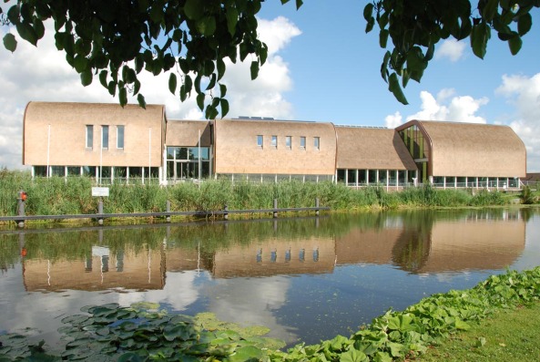 Rathaus in Sdholland von Inbo