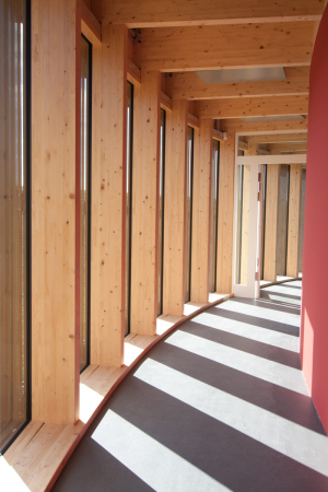 limes, rmer, museum, karl, probst, erffnung