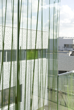 Studentenwohnheim, TH Wildau, SEHW Architektur