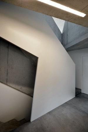 Doppelhaus von L3P in der Nordschweiz