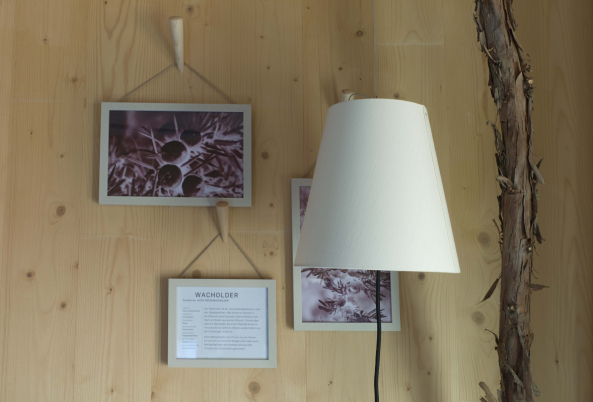 Ausstellungshaus in Hamburg erffnet