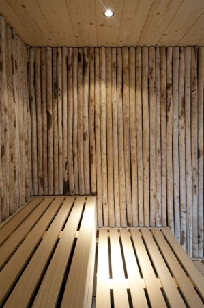 4a Architekten (Stuttgart), Therme in Bad Ems, Flusssauna, Emser Therme