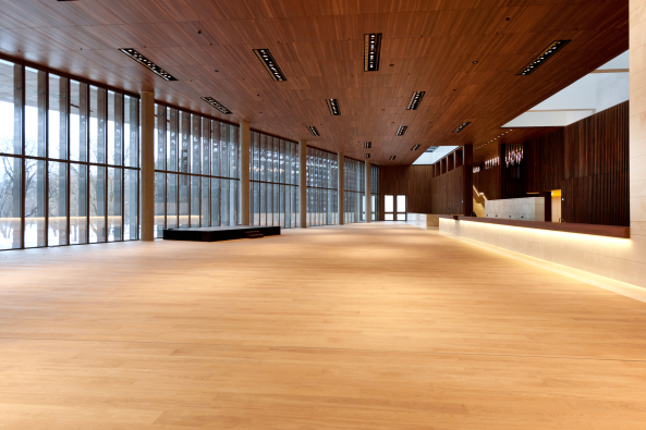 Musiktheater am Volksgarten Linz, Oper in Linz, Terry Pawson, Terry Pawson Architects, Bhne, Bauten fr Musik, Archinauten Dworschak  Mhlbachler Architekten, Architektur Consult, Linz, Travertin, Fassade