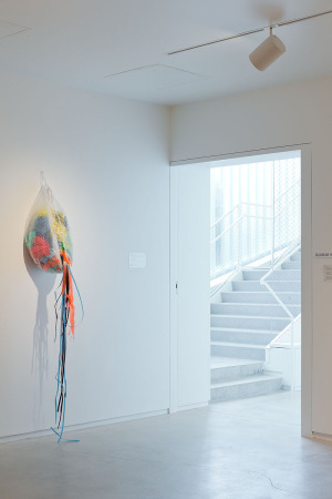 Blaffer Art Museum, Universitt Houston, Texas, Work Architecture Company