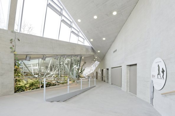 Anlage f�r afrikanische Menschenaffen, Gorillas, Bonobos,  Wilhelmina, Stuttgart, Hascher Jehle Architekten, Zoo, Gehege, Bauen f�r Tiere, Gorilla- und Bonobogehege, Zoo Stuttgart, Affen, Affenhaus