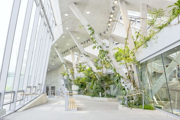 Anlage f�r afrikanische Menschenaffen, Gorillas, Bonobos,  Wilhelmina, Stuttgart, Hascher Jehle Architekten, Zoo, Gehege, Bauen f�r Tiere, Gorilla- und Bonobogehege, Zoo Stuttgart, Affen, Affenhaus