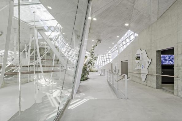 Anlage f�r afrikanische Menschenaffen, Gorillas, Bonobos,  Wilhelmina, Stuttgart, Hascher Jehle Architekten, Zoo, Gehege, Bauen f�r Tiere, Gorilla- und Bonobogehege, Zoo Stuttgart, Affen, Affenhaus