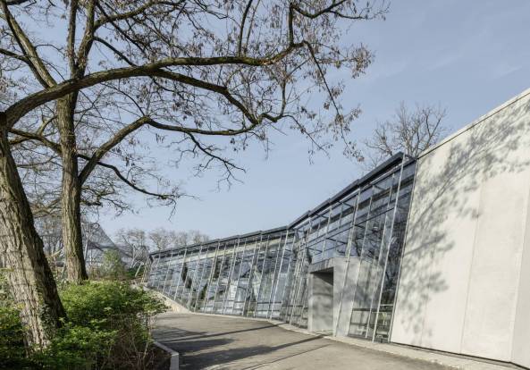 Anlage fr afrikanische Menschenaffen, Gorillas, Bonobos,  Wilhelmina, Stuttgart, Hascher Jehle Architekten, Zoo, Gehege, Bauen fr Tiere, Gorilla- und Bonobogehege, Zoo Stuttgart, Affen, Affenhaus