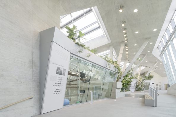 Anlage f�r afrikanische Menschenaffen, Gorillas, Bonobos,  Wilhelmina, Stuttgart, Hascher Jehle Architekten, Zoo, Gehege, Bauen f�r Tiere, Gorilla- und Bonobogehege, Zoo Stuttgart, Affen, Affenhaus