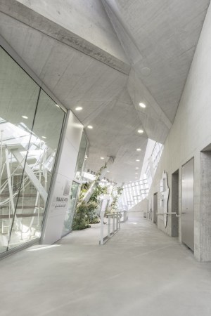 Anlage fr afrikanische Menschenaffen, Gorillas, Bonobos,  Wilhelmina, Stuttgart, Hascher Jehle Architekten, Zoo, Gehege, Bauen fr Tiere, Gorilla- und Bonobogehege, Zoo Stuttgart, Affen, Affenhaus