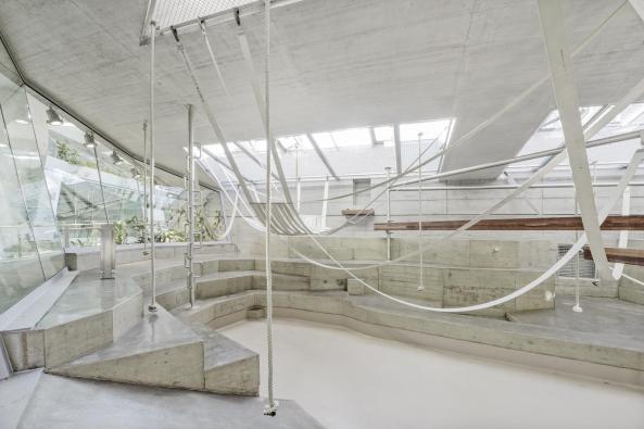 Anlage fr afrikanische Menschenaffen, Gorillas, Bonobos,  Wilhelmina, Stuttgart, Hascher Jehle Architekten, Zoo, Gehege, Bauen fr Tiere, Gorilla- und Bonobogehege, Zoo Stuttgart, Affen, Affenhaus