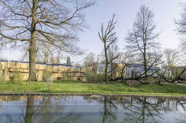 Anlage fr afrikanische Menschenaffen, Gorillas, Bonobos,  Wilhelmina, Stuttgart, Hascher Jehle Architekten, Zoo, Gehege, Bauen fr Tiere, Gorilla- und Bonobogehege, Zoo Stuttgart, Affen, Affenhaus