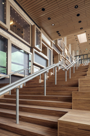 Neutlings Riedijk Architects, Neutlings Riedijk, Rozet, rozet culture house, Kulturzentrum, Arnheim, Kenniscluster, Berg des Wissens, Treppe, Bchertreppe, Bartokplein Arnhem