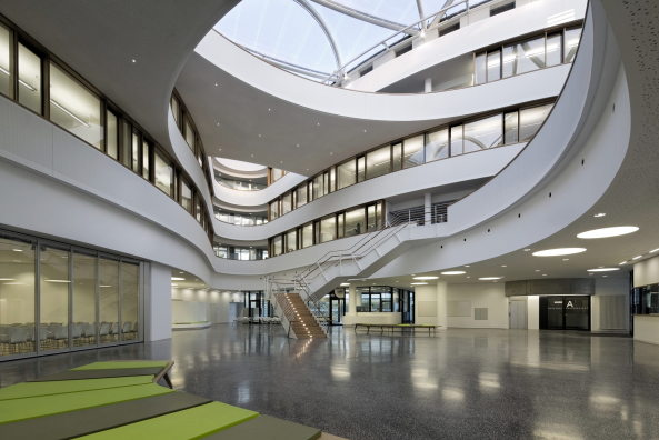 CFEL Hamburg hammeskrause