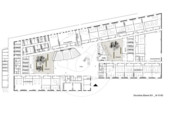CFEL Hamburg hammeskrause