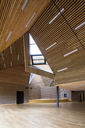 Holzfassade, Holzarchitektur, Gemeindezentrum, Burgund, Mehrzweckhalle