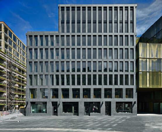 Haus Eisgasse, Max Dudler