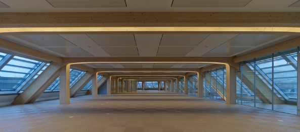 Werdtstrasse, Zrich, Tamedia, Holzbau, Shigeru Ban, Broneubau, Holzkonstruktion, Doppelfassade, Tamedia-Neubau, Werdareal Zrich, Holz, Nachhaltiges Bauen