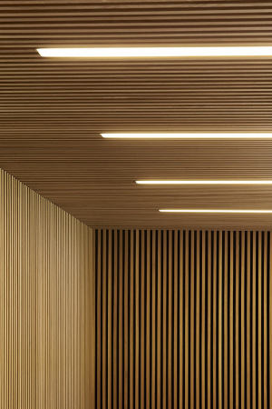 Archiv, Ziegel, Stanton Williams Architects, Benjamin Britten