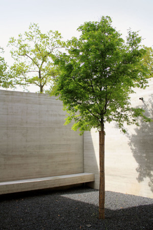 Wohnen in Holz und Beton