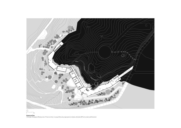 Weinrestaurant, Weinberge, Gstehaus, Carvalho Arajo Arquitectura e Design, Braga, Portugal