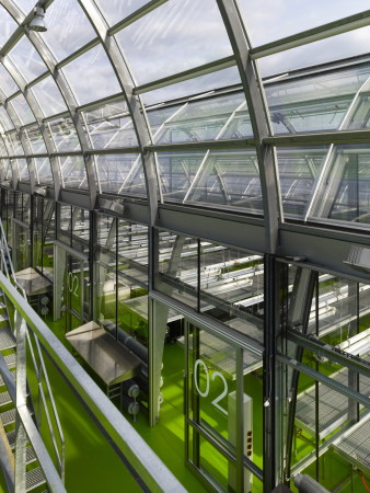 Forschungsgew�chshaus in Frankfurt am Main