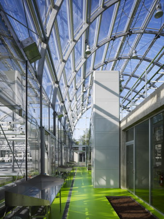 Forschungsgew�chshaus in Frankfurt am Main