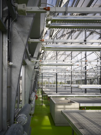 Forschungsgew�chshaus in Frankfurt am Main