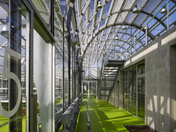 Forschungsgew�chshaus in Frankfurt am Main