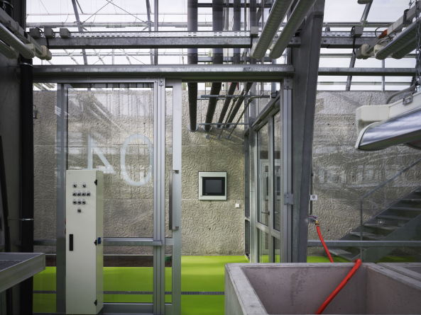 Forschungsgew�chshaus in Frankfurt am Main