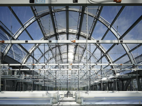 Forschungsgew�chshaus in Frankfurt am Main