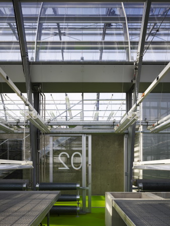 Forschungsgew�chshaus in Frankfurt am Main