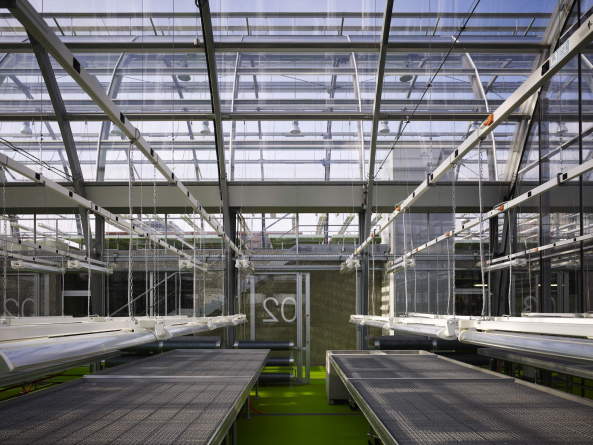 Forschungsgew�chshaus in Frankfurt am Main