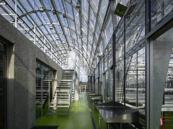 Forschungsgew�chshaus in Frankfurt am Main