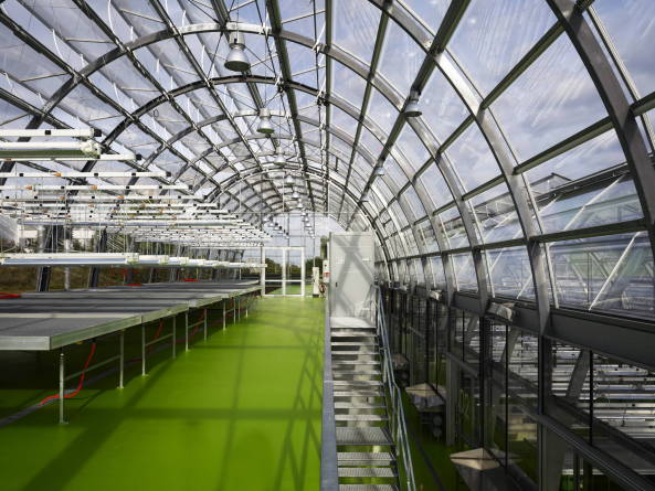 Forschungsgew�chshaus in Frankfurt am Main