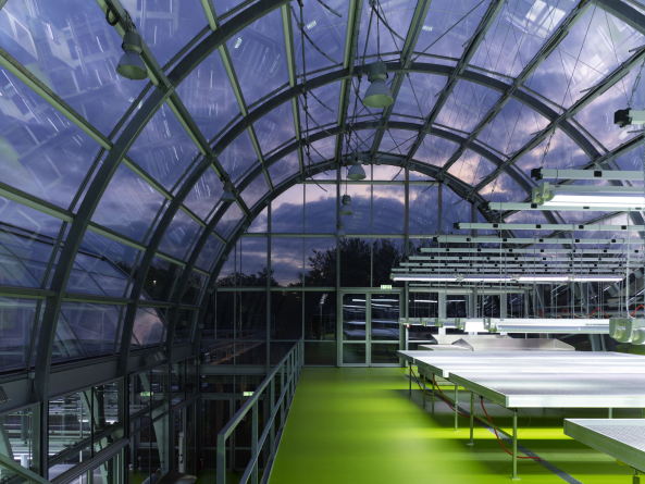 Forschungsgew�chshaus in Frankfurt am Main