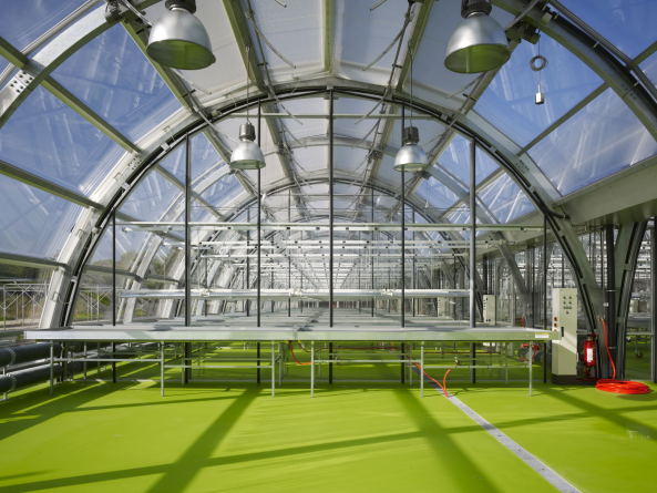 Forschungsgew�chshaus in Frankfurt am Main