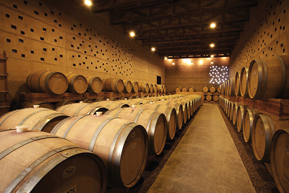 Weingut, Mexiko, Centro de Colaboracin Arquitectnica, Mexiko-Stadt, Erdarchitektur