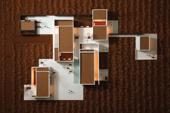 Weingut, Mexiko, Centro de Colaboracin Arquitectnica, Mexiko-Stadt, Erdarchitektur